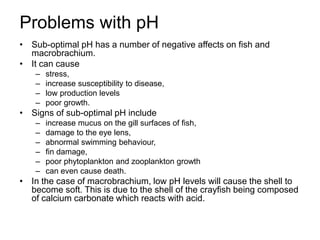 Problems with pH
• Sub-optimal pH has a number of negative affects on fish and
macrobrachium.
• It can cause
– stress,
– increase susceptibility to disease,
– low production levels
– poor growth.
• Signs of sub-optimal pH include
– increase mucus on the gill surfaces of fish,
– damage to the eye lens,
– abnormal swimming behaviour,
– fin damage,
– poor phytoplankton and zooplankton growth
– can even cause death.
• In the case of macrobrachium, low pH levels will cause the shell to
become soft. This is due to the shell of the crayfish being composed
of calcium carbonate which reacts with acid.
 