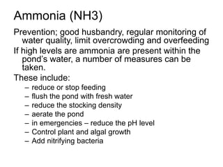 Ammonia (NH3)
Prevention; good husbandry, regular monitoring of
water quality, limit overcrowding and overfeeding
If high levels are ammonia are present within the
pond’s water, a number of measures can be
taken.
These include:
– reduce or stop feeding
– flush the pond with fresh water
– reduce the stocking density
– aerate the pond
– in emergencies – reduce the pH level
– Control plant and algal growth
– Add nitrifying bacteria
 