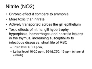 Nitrite (NO2)
• Chronic effect if compare to ammonia
• More toxic than nitrate
• Actively transported across the gill epithelium
• Toxic effects of nitrite: gill hypertrophy,
hyperplasia, hemorrhages and necrotic lesions
in the thymus, increasing susceptibility to
infectious diseases, short life of RBC
– Toxic level > 0.1 ppm,
– Lethal level 10-20 ppm, 96-hLC50: 13 ppm (channel
catfish)
 