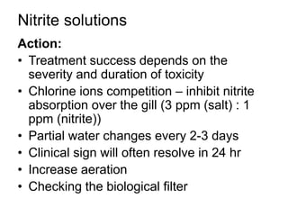 Nitrite solutions
Action:
• Treatment success depends on the
severity and duration of toxicity
• Chlorine ions competition – inhibit nitrite
absorption over the gill (3 ppm (salt) : 1
ppm (nitrite))
• Partial water changes every 2-3 days
• Clinical sign will often resolve in 24 hr
• Increase aeration
• Checking the biological filter
 