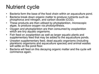 Nutrient cycle
• Bacteria form the base of the food chain within an aquaculture pond.
• Bacteria break down organic matter to produce nutrients such as
phosphorus and nitrogen, and carbon dioxide (CO2).
• These products are then utilised by phytoplankton, microscopic
algae, to produce oxygen via photosynthesis.
• Oxygen and phytoplankton are then consumed by zooplankton
which are tiny aquatic organisms.
• Fish feed on zooplankton as well as larger aquatic plants and
supplementary feed that may be added to the aquaculture ponds.
• Uneaten supplementary feed, dead aquatic organisms (including
planktonic organisms and aquaculture species) and animal wastes
will settle on the pond floor.
• Bacteria will feed on this decaying organic matter and the cycle will
commence again.
 