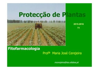 Protecção de Plantas
Profª Maria José Cerejeira
mcerejeira@isa.ulisboa.pt
2015-2016
T1
Fitofarmacologia
 