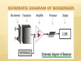 BIOSENSOR | PPTX