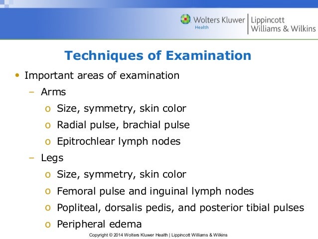 Ppt12