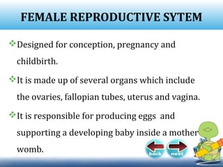 FEMALE REPRODUCTIVE SYTEM
Designed for conception, pregnancy and
childbirth.
It is made up of several organs which include
the ovaries, fallopian tubes, uterus and vagina.
It is responsible for producing eggs and
supporting a developing baby inside a mother’s
womb.
 