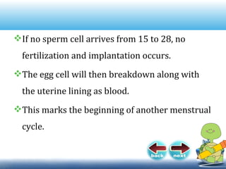 If no sperm cell arrives from 15 to 28, no
fertilization and implantation occurs.
The egg cell will then breakdown along with
the uterine lining as blood.
This marks the beginning of another menstrual
cycle.
 