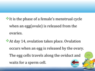 It is the phase of a female's menstrual cycle
when an egg(ovule) is released from the
ovaries.
At day 14, ovulation takes place. Ovulation
occurs when an egg is released by the ovary.
The egg cells travels along the oviduct and
waits for a sperm cell.
 