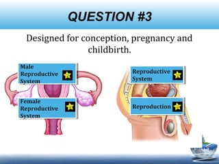 QUESTION #3
Designed for conception, pregnancy and
childbirth.
Male
Reproductive
System
Male
Reproductive
System
Female
Reproductive
System
Female
Reproductive
System
ReproductionReproduction
Reproductive
System
Reproductive
System
 