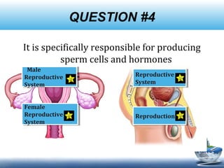 QUESTION #4
It is specifically responsible for producing
sperm cells and hormones
Male
Reproductive
System
Male
Reproductive
System
Female
Reproductive
System
Female
Reproductive
System
ReproductionReproduction
Reproductive
System
Reproductive
System
 