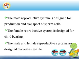 The male reproductive system is designed for
production and transport of sperm cells.
The female reproductive system is designed for
child bearing.
The male and female reproductive systems are
designed to create new life.
 