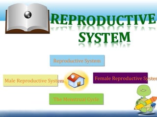 Reproductive SystemReproductive System
Male Reproductive SystemMale Reproductive System Female Reproductive SystemFemale Reproductive System
The Menstrual CycleThe Menstrual Cycle
 