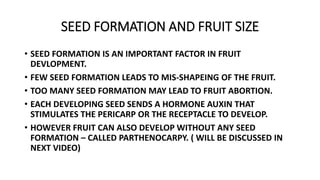 SEED FORMATION AND FRUIT SIZE
• SEED FORMATION IS AN IMPORTANT FACTOR IN FRUIT
DEVLOPMENT.
• FEW SEED FORMATION LEADS TO MIS-SHAPEING OF THE FRUIT.
• TOO MANY SEED FORMATION MAY LEAD TO FRUIT ABORTION.
• EACH DEVELOPING SEED SENDS A HORMONE AUXIN THAT
STIMULATES THE PERICARP OR THE RECEPTACLE TO DEVELOP.
• HOWEVER FRUIT CAN ALSO DEVELOP WITHOUT ANY SEED
FORMATION – CALLED PARTHENOCARPY. ( WILL BE DISCUSSED IN
NEXT VIDEO)
 