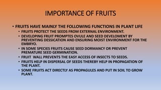 IMPORTANCE OF FRUITS
• FRUITS HAVE MAINLY THE FOLLOWING FUNCTIONS IN PLANT LIFE
• FRUITS PROTECT THE SEEDS FROM EXTERNAL ENVIRONMENT.
• DEVELOPING FRUIT PROMPTES OVULE AND SEED DEVELOMENT BY
PREVENTING DESSICATION AND ENSURING MOIST ENVIRONMENT FOR THE
EMBRYO.
• IN SOME SPECIES FRUITS CAUSE SEED DORMANCY OR PREVENT
PREMATURE SEED GERMINATION.
• FRUIT WALL PREVENTS THE EASY ACCESS OF INSECTS TO SEEDS.
• FRUITS HELP IN DISPERSAL OF SEEDS THEREBY HELP IN PROPAGATION OF
THE PLANT.
• SOME FRUITS ACT DIRECTLY AS PROPAGULES AND PUT IN SOIL TO GROW
PLANT.
 