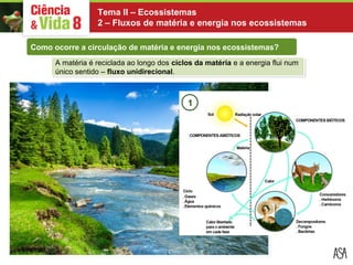 Tema II – Ecossistemas 
2 – Fluxos de matéria e energia nos ecossistemas 
Como ocorre a circulação de matéria e energia nos ecossistemas? 
A matéria é reciclada ao longo dos ciclos da matéria e a energia flui num 
único sentido – fluxo unidirecional. 
1 
 
