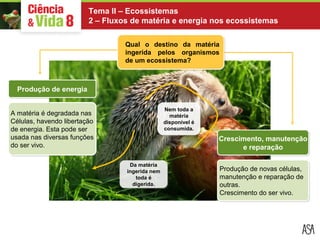 Tema II – Ecossistemas 
2 – Fluxos de matéria e energia nos ecossistemas 
PPrroodduuççããoo ddee eenneerrggiiaa 
Qual o destino da matéria 
ingerida pelos organismos 
de um ecossistema? 
Produção de novas células, 
manutenção e reparação de 
outras. 
Crescimento do ser vivo. 
A matéria é degradada nas 
Células, havendo libertação 
de energia. Esta pode ser 
usada nas diversas funções 
do ser vivo. 
Crescimento, manutenção 
e reparação 
Nem toda a 
matéria 
disponível é 
consumida. 
Nem toda a 
matéria 
consumida. 
Da matéria 
ingerida nem 
Da matéria 
ingerida nem 
toda é 
digerida. 
digerida. 
 