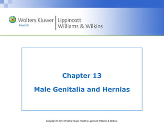 Copyright © 2014 Wolters Kluwer Health | Lippincott Williams & Wilkins
Chapter 13
Male Genitalia and Hernias
 