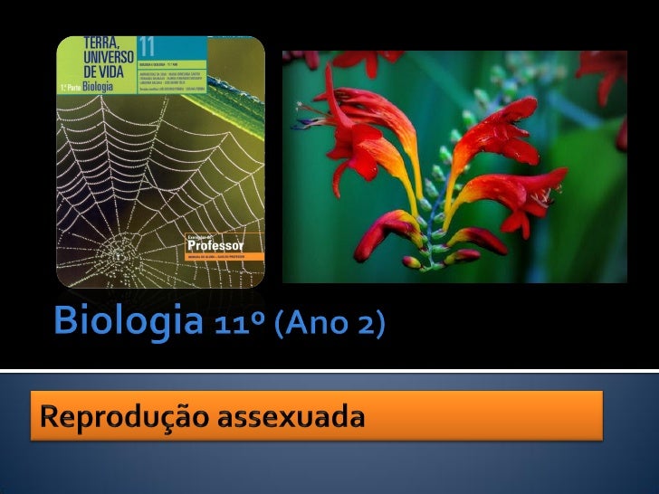    Formação de
    novos indivíduos a
    partir de um só
    progenitor

                                    Nascimento ...