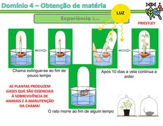 Experíência 2…
PRIESTLEY
AS PLANTAS PRODUZEM
GASES QUE SÃO ESSENCIAIS
À SOBREVIVÊNCIA DE
ANIMAIS E À MANUTENÇÃO
DA CHAMA!
Chama extingue-se ao fim de
pouco tempo
O rato morre ao fim de algum tempo
LUZ
Após 10 dias a vela continua a
arder
 