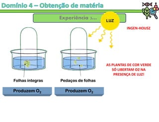 Experíência 3…
LUZ
Folhas íntegras Pedaços de folhas
Produzem O2 Produzem O2
AS PLANTAS DE COR VERDE
SÓ LIBERTAM O2 NA
PRESENÇA DE LUZ!
INGEN-HOUSZ
 