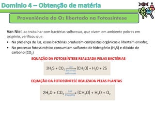 Proveniência do O2 libertado na Fotossíntese
Van Niel, ao trabalhar com bactérias sulfurosas, que vivem em ambiente pobres em
oxigénio, verificou que:
• Na presença de luz, essas bactérias produzem compostos orgânicos e libertam enxofre;
• No processo fotossintético consumiam sulfureto de hidrogénio (H2S) e dióxido de
carbono (CO2)
EQUAÇÃO DA FOTOSSÍNTESE REALIZADA PELAS BACTÉRIAS
EQUAÇÃO DA FOTOSSÍNTESE REALIZADA PELAS PLANTAS
 