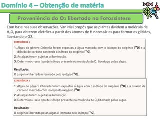Proveniência do O2 libertado na Fotossíntese
Com base nas suas observações, Van Niel propôs que as plantas dividem a molécula de
H2O, para obterem eletrões a partir dos átomos de H necessários para formar os glícidos,
libertando o O2.
 