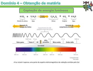 Captação de energia luminosa
A luz visível é apenas uma parte do espetro eletromagnético da radiação emitida pelo Sol.
 