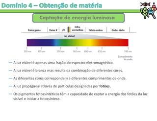 ― A luz visível é apenas uma fração do espectro eletromagnético.
― A luz visível é branca mas resulta da combinação de diferentes cores.
― As diferentes cores correspondem a diferentes comprimentos de onda.
― A luz propaga-se através de partículas designadas por fotões.
― Os pigmentos fotossintéticos têm a capacidade de captar a energia dos fotões da luz
visível e iniciar a fotossíntese.
Captação de energia luminosa
 