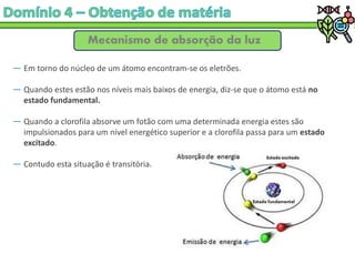 Mecanismo de absorção da luz
― Em torno do núcleo de um átomo encontram-se os eletrões.
― Quando estes estão nos níveis mais baixos de energia, diz-se que o átomo está no
estado fundamental.
― Quando a clorofila absorve um fotão com uma determinada energia estes são
impulsionados para um nível energético superior e a clorofila passa para um estado
excitado.
― Contudo esta situação é transitória.
 
