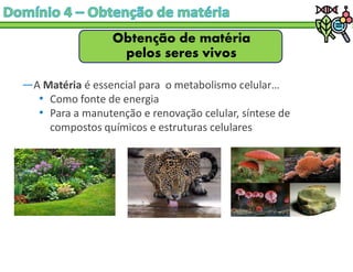 Obtenção de matéria
pelos seres vivos
―A Matéria é essencial para o metabolismo celular…
• Como fonte de energia
• Para a manutenção e renovação celular, síntese de
compostos químicos e estruturas celulares
 