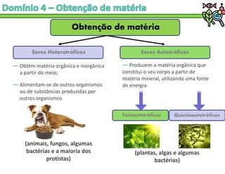 Obtenção de matéria
― Obtêm matéria orgânica e inorgânica
a partir do meio;
― Alimentam-se de outros organismos
ou de substâncias produzidas por
outros organismos
Seres Heterotróficos Seres Autotróficos
― Produzem a matéria orgânica que
constitui o seu corpo a partir de
matéria mineral, utilizando uma fonte
de energia.
Fotoautotróficos Quimioautotróficos
(animais, fungos, algumas
bactérias e a maioria dos
protistas)
(plantas, algas e algumas
bactérias)
 