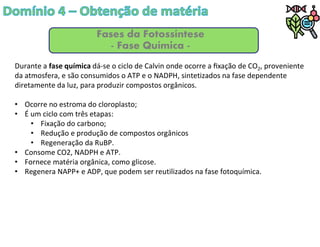 Fases da Fotossíntese
- Fase Química -
Durante a fase química dá-se o ciclo de Calvin onde ocorre a ﬁxação de CO2, proveniente
da atmosfera, e são consumidos o ATP e o NADPH, sintetizados na fase dependente
diretamente da luz, para produzir compostos orgânicos.
• Ocorre no estroma do cloroplasto;
• É um ciclo com três etapas:
• Fixação do carbono;
• Redução e produção de compostos orgânicos
• Regeneração da RuBP.
• Consome CO2, NADPH e ATP.
• Fornece matéria orgânica, como glicose.
• Regenera NAPP+ e ADP, que podem ser reutilizados na fase fotoquímica.
 