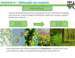 ― Processo de autotrofia que utiliza a energia da luz solar como fonte de energia,
para converter carbono inorgânico (dióxido de carbono) em carbono orgânico
(hidratos de carbono).
Fotossíntese
Energia
Luminosa
Energia
Química
Estes organismos são também designados de produtores e incluem seres vivos
como as plantas, algas e cianobactérias (procariontes fotossintéticos).
 