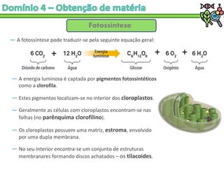 Fotossíntese
― A fotossíntese pode traduzir-se pela seguinte equação geral:
― A energia luminosa é captada por pigmentos fotossintéticos
como a clorofila.
― Estes pigmentos localizam-se no interior dos cloroplastos.
― Geralmente as células com cloroplastos encontram-se nas
folhas (no parênquima clorofilino).
― Os cloroplastos possuem uma matriz, estroma, envolvido
por uma dupla membrana.
― No seu interior encontra-se um conjunto de estruturas
membranares formando discos achatados – os tilacoides.
 