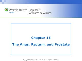 Chapter 15 
The Anus, Rectum, and Prostate 
Copyright © 2014 Wolters Kluwer Health | Lippincott Williams & Wilkins 
 