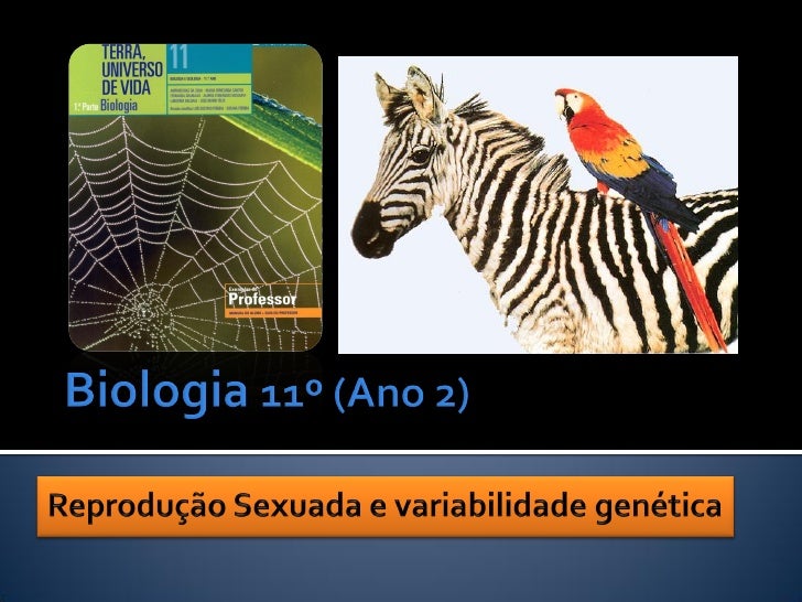 QUAL O CONTRIBUTO DA MEIOSE E DA
                FECUNDAÇÃO PARA A VARIABILIDADE
                          GENÉTICA?




N...