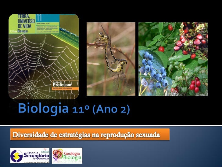    O sucesso da
    reprodução sexuada e
    o número de
    indivíduos que
    surgem em cada
    geração são variáveis....