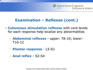 Copyright © 2014 Wolters Kluwer Health | Lippincott Williams & Wilkins
Examination – Reflexes (cont.)
• Cutaneous stimulation reflexes with cord levels
for each response help localize any abnormalities
– Abdominal reflexes - upper: T8-10; lower:
T10-12
– Plantar response - L5-S1
– Anal reflex - S2-S4
 