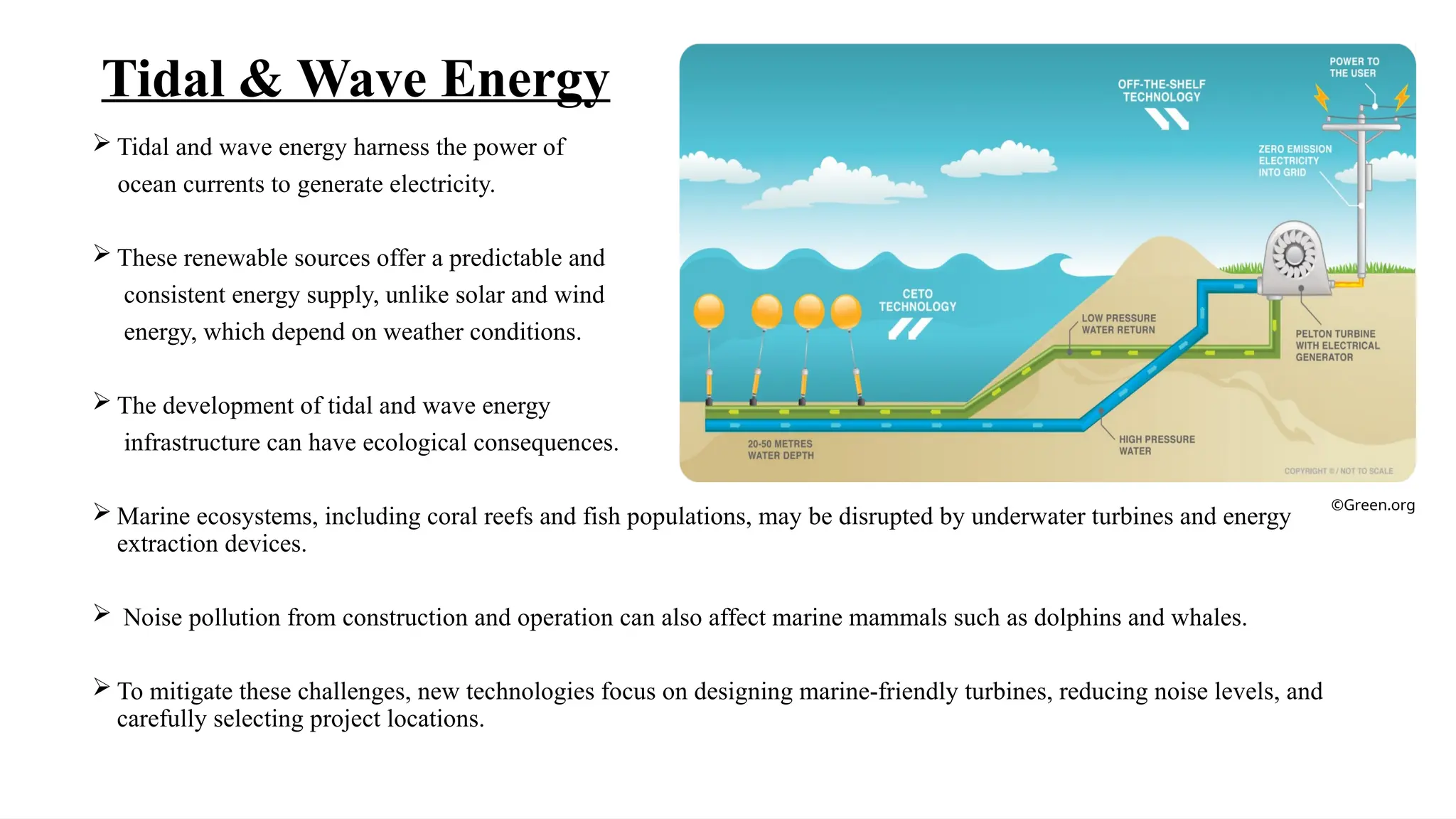 Tidal & Wave Energy
 Tidal and wave energy harness the power of
ocean currents to generate electricity.
 These renewable sources offer a predictable and
consistent energy supply, unlike solar and wind
energy, which depend on weather conditions.
 The development of tidal and wave energy
infrastructure can have ecological consequences.
 Marine ecosystems, including coral reefs and fish populations, may be disrupted by underwater turbines and energy
extraction devices.
 Noise pollution from construction and operation can also affect marine mammals such as dolphins and whales.
 To mitigate these challenges, new technologies focus on designing marine-friendly turbines, reducing noise levels, and
carefully selecting project locations.
©Green.org
 