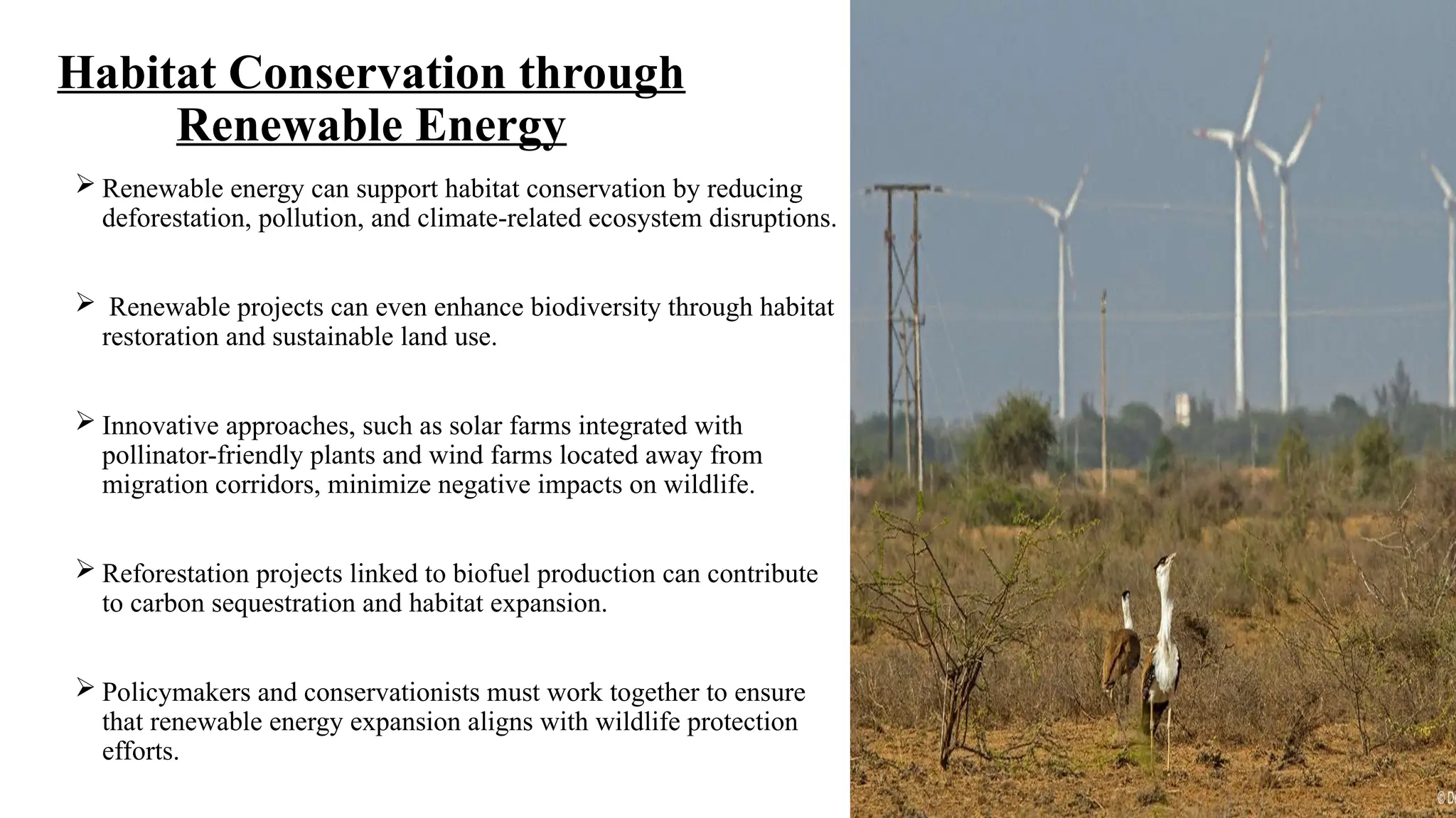 Habitat Conservation through
Renewable Energy
 Renewable energy can support habitat conservation by reducing
deforestation, pollution, and climate-related ecosystem disruptions.
 Renewable projects can even enhance biodiversity through habitat
restoration and sustainable land use.
 Innovative approaches, such as solar farms integrated with
pollinator-friendly plants and wind farms located away from
migration corridors, minimize negative impacts on wildlife.
 Reforestation projects linked to biofuel production can contribute
to carbon sequestration and habitat expansion.
 Policymakers and conservationists must work together to ensure
that renewable energy expansion aligns with wildlife protection
efforts.
 