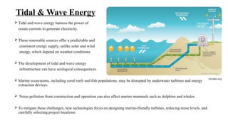 Tidal & Wave Energy
 Tidal and wave energy harness the power of
ocean currents to generate electricity.
 These renewable sources offer a predictable and
consistent energy supply, unlike solar and wind
energy, which depend on weather conditions.
 The development of tidal and wave energy
infrastructure can have ecological consequences.
 Marine ecosystems, including coral reefs and fish populations, may be disrupted by underwater turbines and energy
extraction devices.
 Noise pollution from construction and operation can also affect marine mammals such as dolphins and whales.
 To mitigate these challenges, new technologies focus on designing marine-friendly turbines, reducing noise levels, and
carefully selecting project locations.
©Green.org
 
