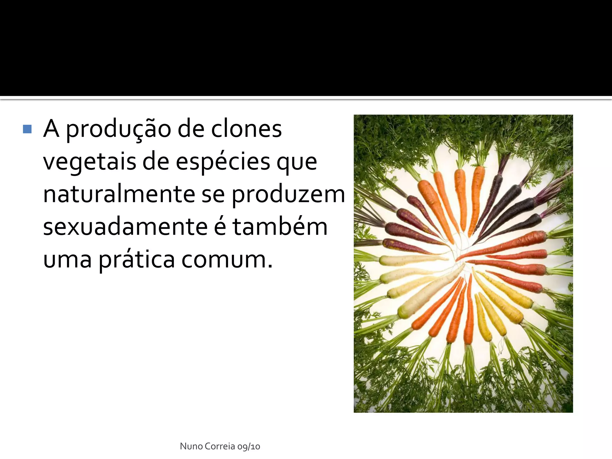 Ppt 17 Vantagens E Desvantagens Da ReproduçãO Sexuada | PDF