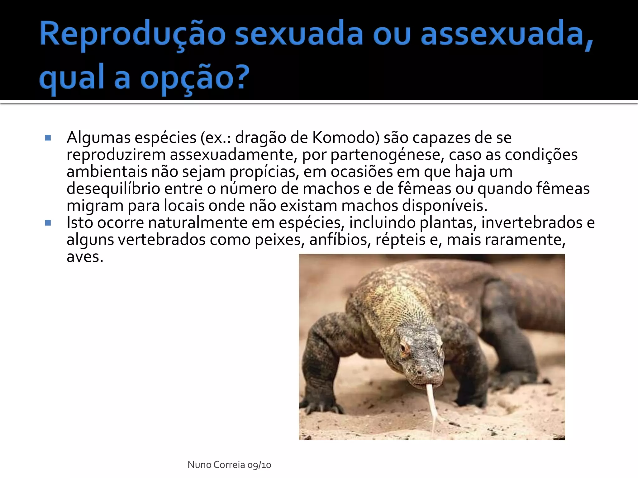 Ppt 17 Vantagens E Desvantagens Da ReproduçãO Sexuada | PDF