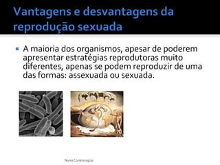 Ppt 17 Vantagens E Desvantagens Da ReproduçãO Sexuada | PDF