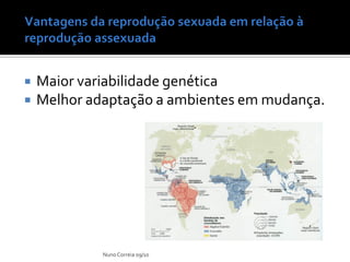 Ppt 17 Vantagens E Desvantagens Da ReproduçãO Sexuada | PDF