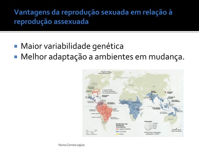 Ppt 17 Vantagens E Desvantagens Da ReproduçãO Sexuada | PDF