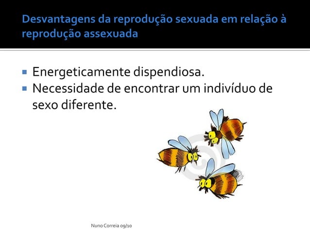 Ppt 17 Vantagens E Desvantagens Da ReproduçãO Sexuada | PDF