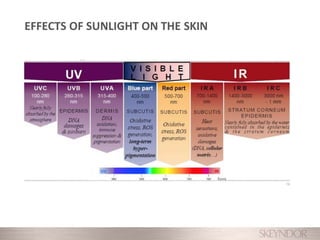 EFFECTS OF SUNLIGHT ON THE SKIN
 