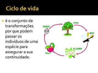    é o conjunto de
    transformações
    por que podem
    passar os
    indivíduos de uma
    espécie para
    assegurar a sua
    continuidade.
 