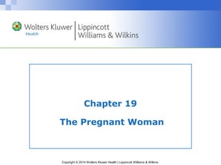 Copyright © 2014 Wolters Kluwer Health | Lippincott Williams & Wilkins
Chapter 19
The Pregnant Woman
 