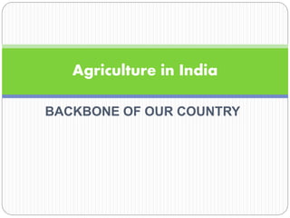 BACKBONE OF OUR COUNTRY
Agriculture in India
 